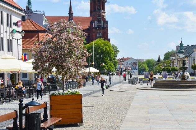 Na Rynku Kościuszki zakwitły jabłonie