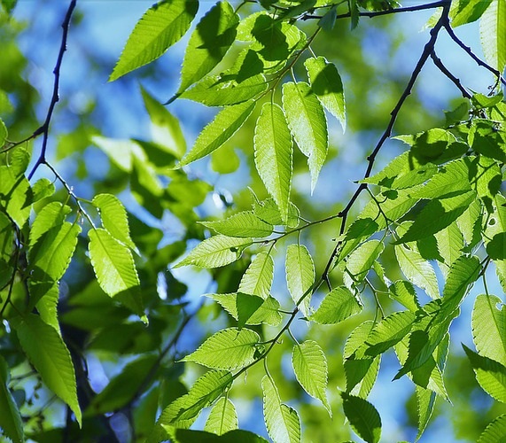 Temperatura wzrośnie do 17°C