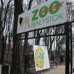 Schronisko dla zwierząt i Akcent ZOO będą miały nowego kierownika