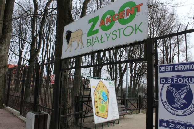 Schronisko dla zwierząt i Akcent ZOO będą miały nowego kierownika