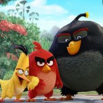 "Angry Birds Film". Jedna z najbardziej oczekiwanych premier tego roku [WIDEO]