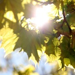 Okresowe zachmurzenia i prawie 30°C, czyli prognoza pogody na długi weekend