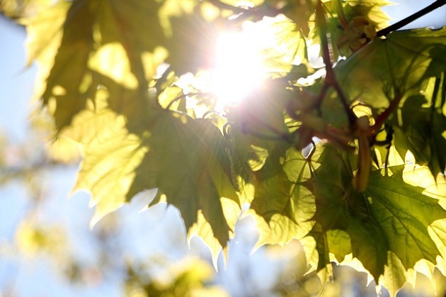 Okresowe zachmurzenia i prawie 30°C, czyli prognoza pogody na długi weekend