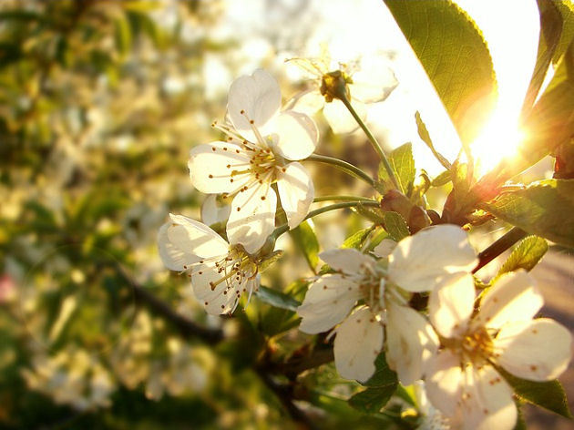 Termometry wskażą 19°C, będą zachmurzenia