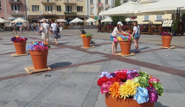 Kolorowe kwiaty w donicach. Ciekawa instalacja stanęła na Rynku Kościuszki