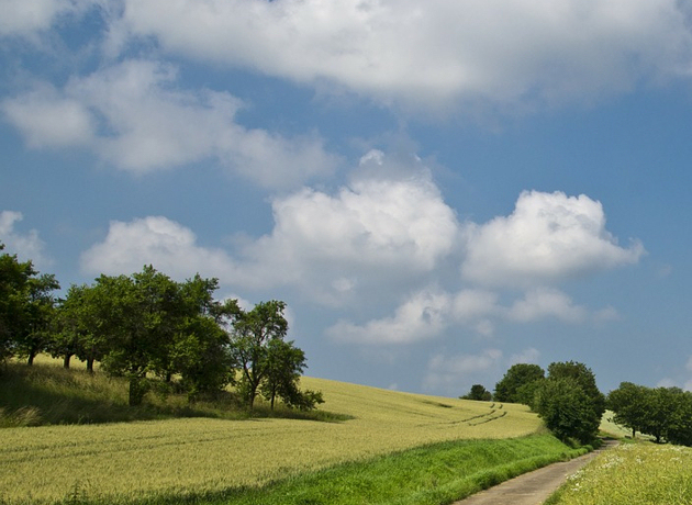 Dziś 22°C i pochmurne niebo