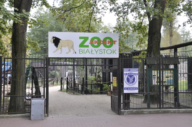 Niewidomi ZOO-baczą. W ogrodzie zoologicznym staną specjalne tablice informacyjne