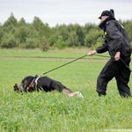 Odnaleziono troje zaginionych. Pomoc nadeszła w ostatniej chwili 