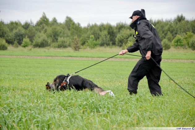 Odnaleziono troje zaginionych. Pomoc nadeszła w ostatniej chwili 