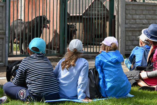Eksperyment w Białymstoku. Dzieci czytają psom