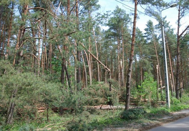 Bilans poniedziałkowej burzy. 2,5 tys. domów bez prądu