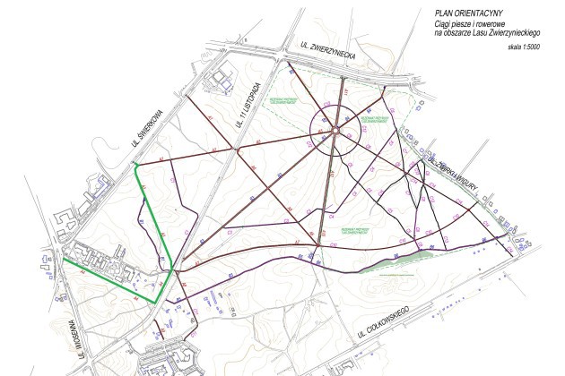 Ścieżki w Lesie Zwierzynieckim zostaną przebudowane. Pojawią się także stojaki na rowery