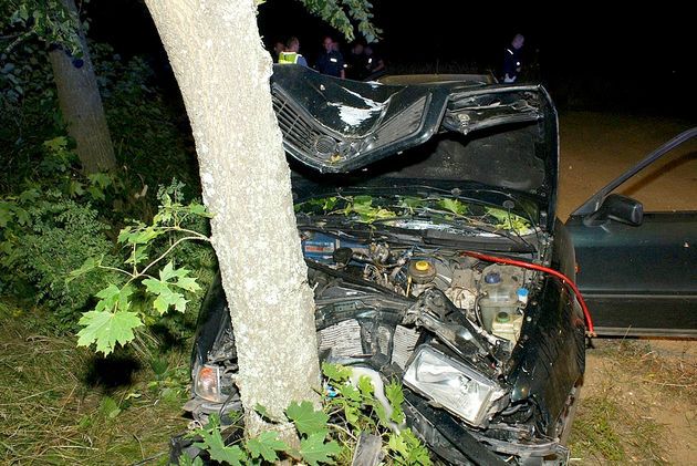 Audi uderzyło w drzewo. Kierowca i pasażer nie mieli zapiętych pasów