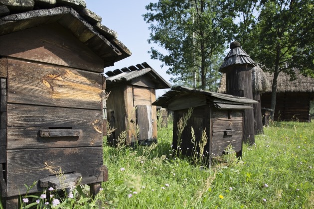 Piknik w skansenie. Koncerty zespołów i twórcze warsztaty