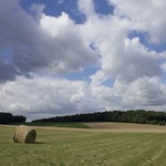 Lato jak wczesna jesień, czyli dalej chłodno i pochmurno