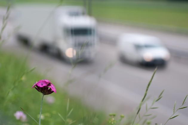 Pierwsze auto najechało na drugie, drugie na trzecie itd. Zaczęło się od ciężarówki