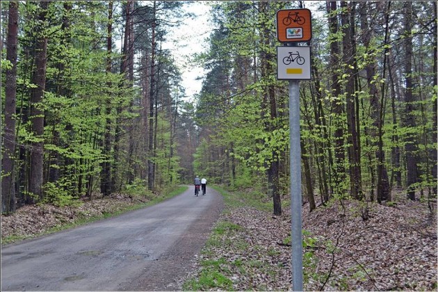 Jadą, bo chcą pokonać swoje słabości. Czeka ich 7 dni zmagań i 300 kilometrów trasy