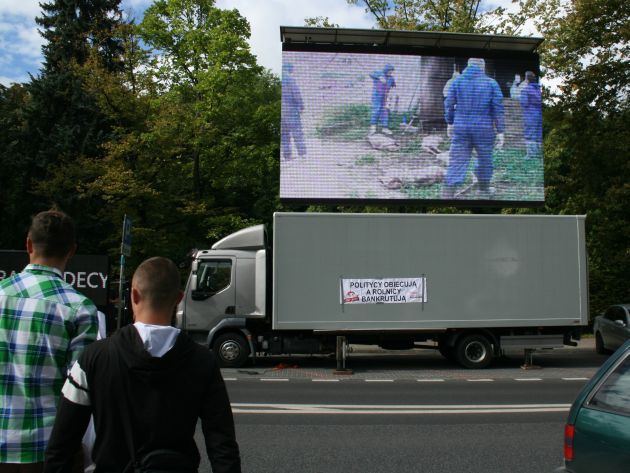 Protest rolników. Pokazali drastyczny film i żądają odstrzału dzików