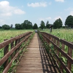 Podlasie w obiektywie. Ogólnopolski Konkurs Fotograficzny przedłużony