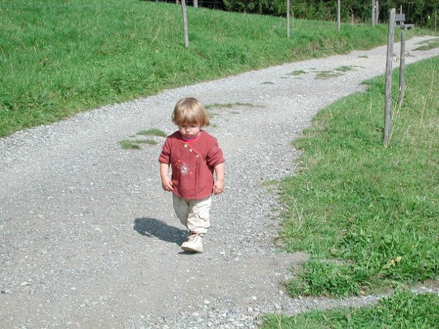 Pomoc społeczna w Podlaskiem. Co GUS ma w tej kwestii do powiedzenia?