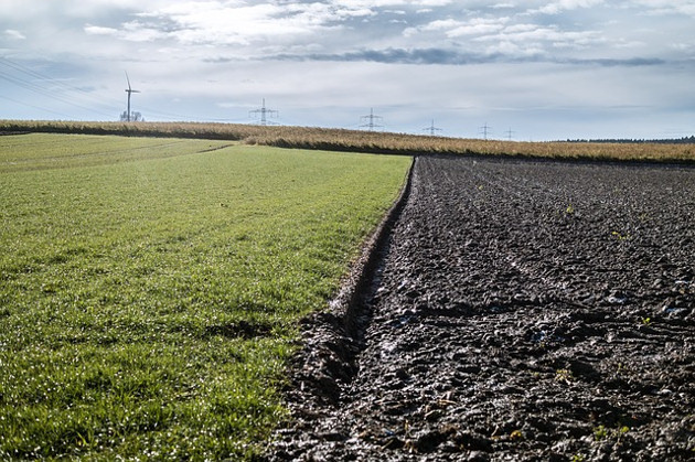 W Podlaskiem są jedne z najdroższych gruntów w Polsce. Sprawdzamy ceny