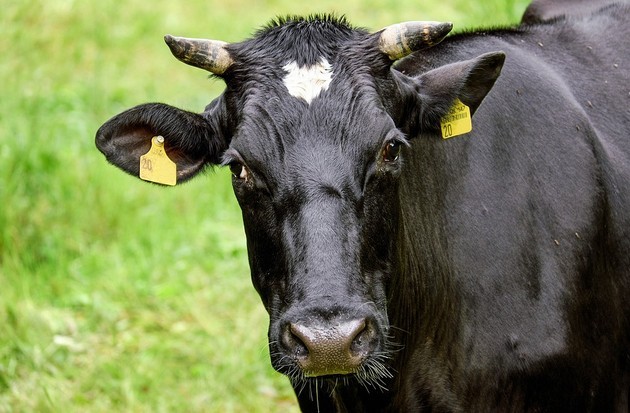 Podlaska firma podkreśla swoje przywiązanie do naturalności. Docenili to eksperci