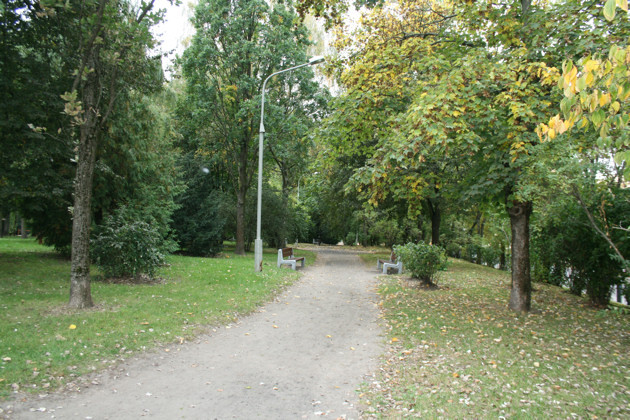 Synoptycy zapowiadają spadek temperatury poniżej 0°C