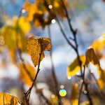 W weekend przejaśnienia, ale i nawet -8°C