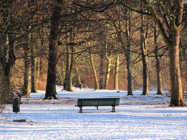 Kleszcze atakują również zimą. W listopadzie na boreliozę zachorowało prawie 200 osób