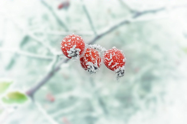 Idzie fala mrozów. Dziś temperatura spadnie nawet do -17°C