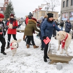 Jedyny taki Finał. Wielka Orkiestra z jubileuszem [ZDJĘCIA]