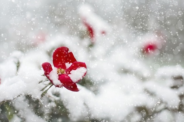 I po mrozie. Temperatura dziś wzrośnie