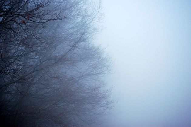 Gęste mgły spowiją Podlasie. Widoczność spadnie nawet do 50 metrów