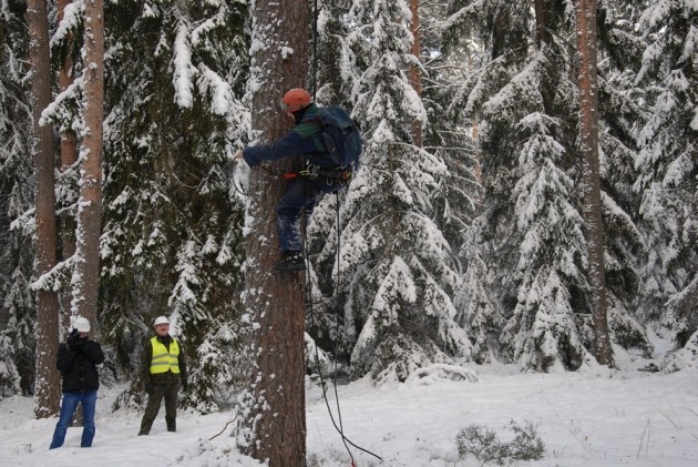 Szyszkobranie w podlaskich lasach. Do akcji włączyli się alpiniści