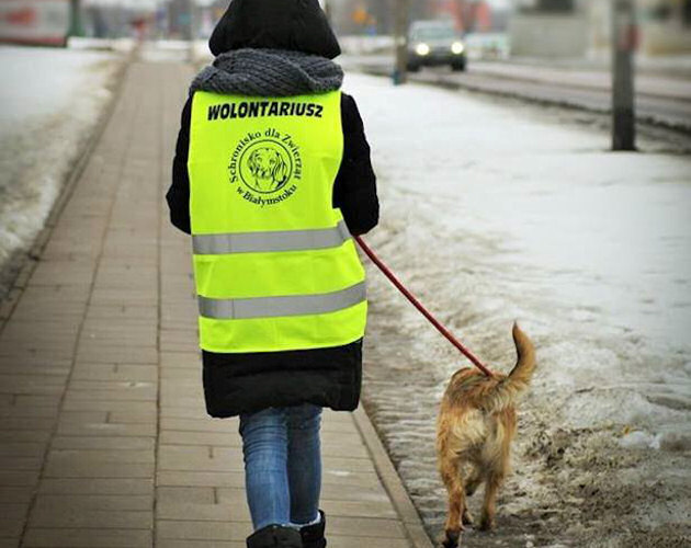 Schronisko dla zwierząt szuka wolontariuszy