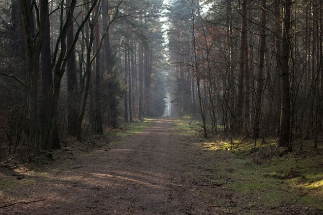 Porwanie 15-latki. 23- i 29-latek usłyszeli zarzuty dotyczące m.in. gwałtu