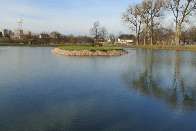 Przy kiełbasce o Budżecie Obywatelskim. Miasto zaprasza nad Stawy Marczukowskie