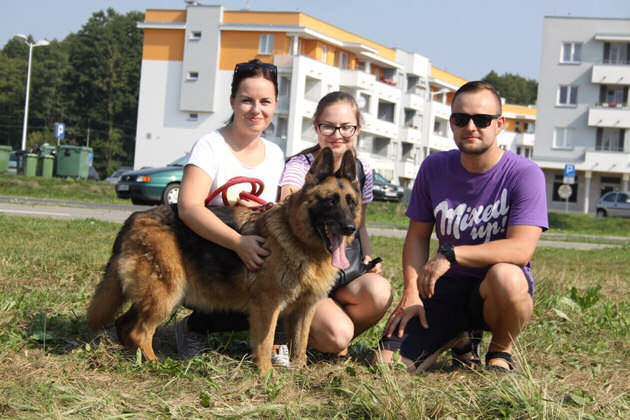 Trening charytatywny i koncert. Wszystko na rzecz schroniskowych psów