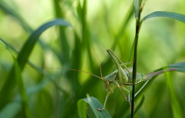 Spodziewane są duże zachmurzenia