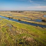 Biebrzański Park Narodowy proponuje dzierżawę blisko 600 hektarów łąk