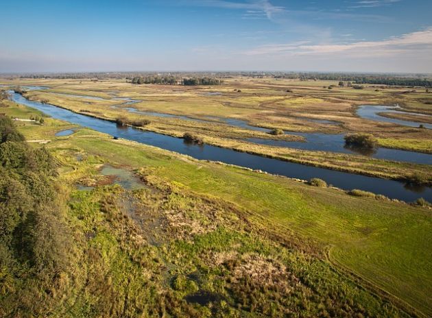 Biebrzański Park Narodowy proponuje dzierżawę blisko 600 hektarów łąk