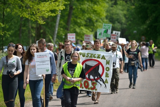 Pokojowe protesty na terenie Puszczy Białowieskiej. Był kolejny spacer 