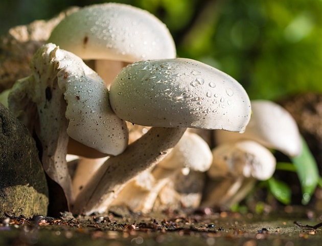 Spodziewane są częstsze zachmurzenia, a nawet i opady deszczu