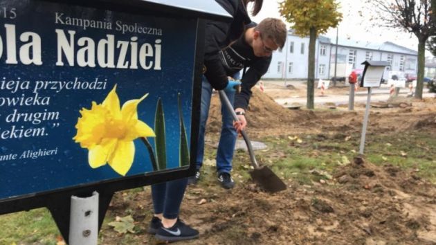 Podlaskie Pola Nadziei obrodziły. Zebrano ponad 200 tys. zł