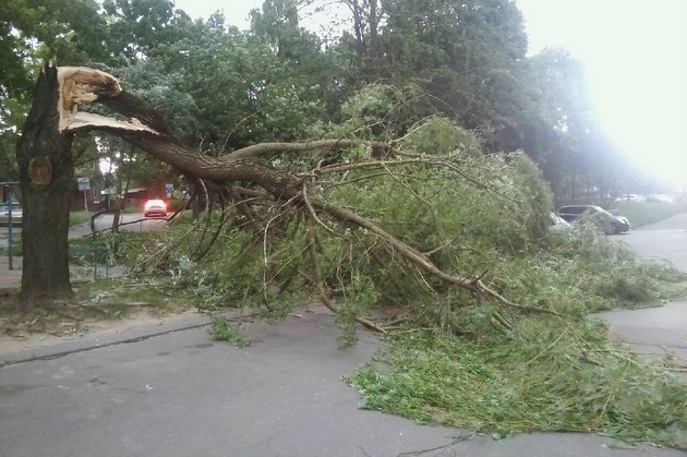 Burza szalała nad województwem. Zerwane dachy, połamane drzewa, setki interwencji