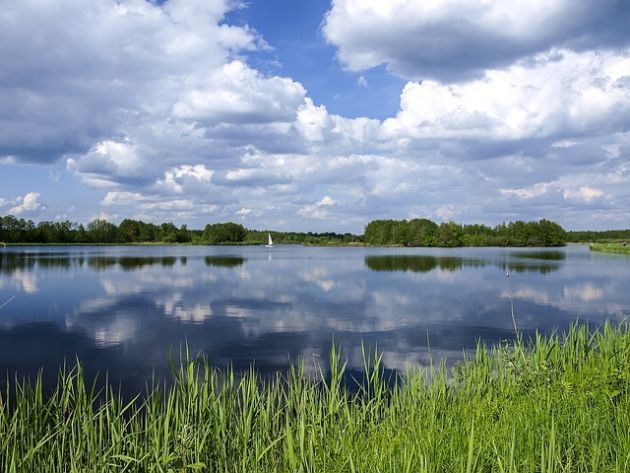 Wojewódzkie mistrzostwa. W szranki staną strażacy-płetwonurkowie