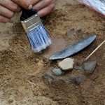 Archeolodzy odkrywają tajemnice Puszczy Białowieskiej