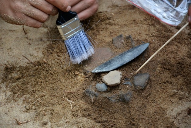 Archeolodzy odkrywają tajemnice Puszczy Białowieskiej