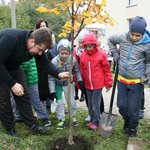 Na Waryńskiego przybyło kilkanaście drzew. Z inicjatywy miejskich aktywistów
