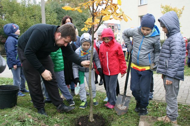 Na Waryńskiego przybyło kilkanaście drzew. Z inicjatywy miejskich aktywistów